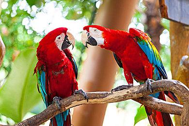 光环系列主创加盟网飞游戏将打造多平台3A游戏